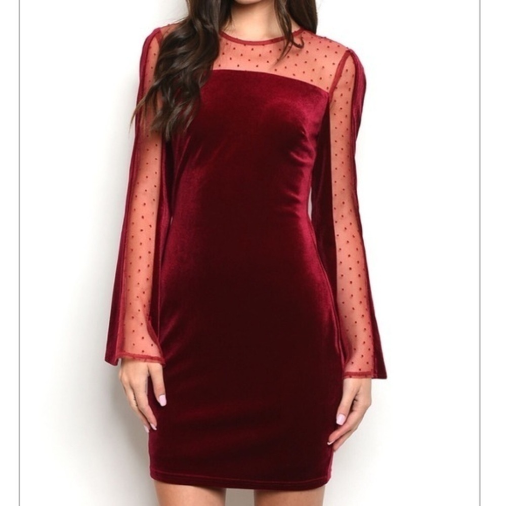 🆕Burgundy Velvet & Mesh Dress